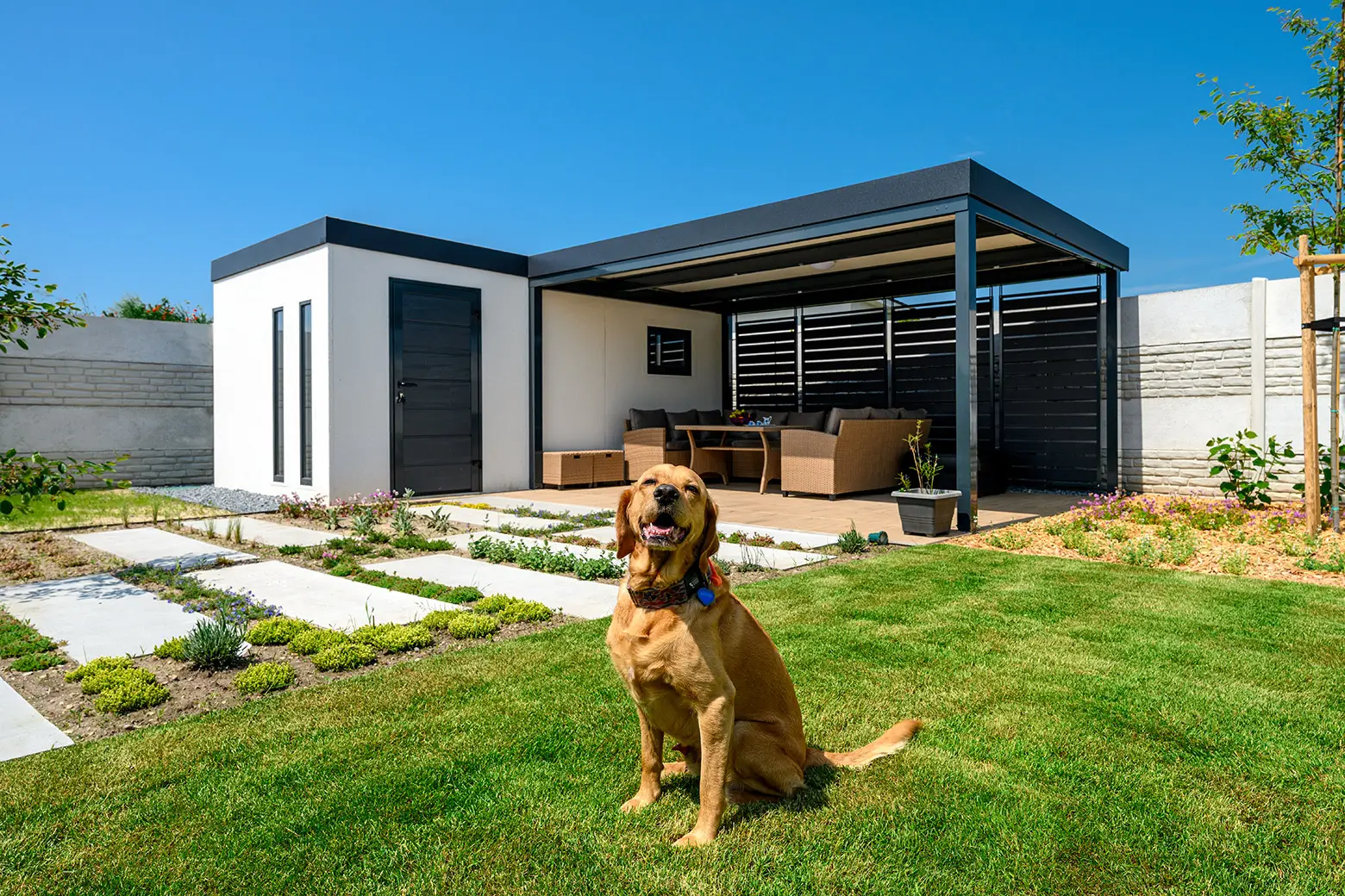 21st Century Technology in Your Garden